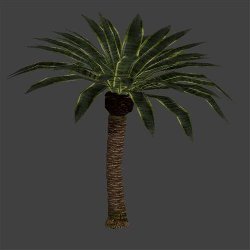 BGE Palm Tree preview image